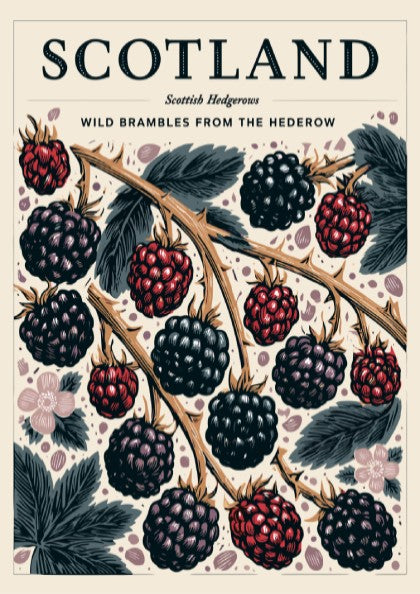 Kitchen poster featuring wild brambles and blackberries in vibrant colors, showcasing nature-inspired decor.