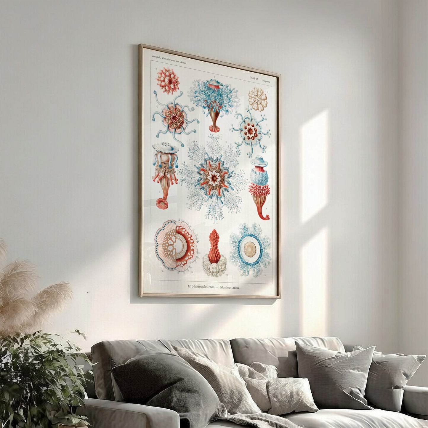 Vintage Siphonophorae scientific illustration poster by Ernst Haeckel, featuring detailed marine life in blue