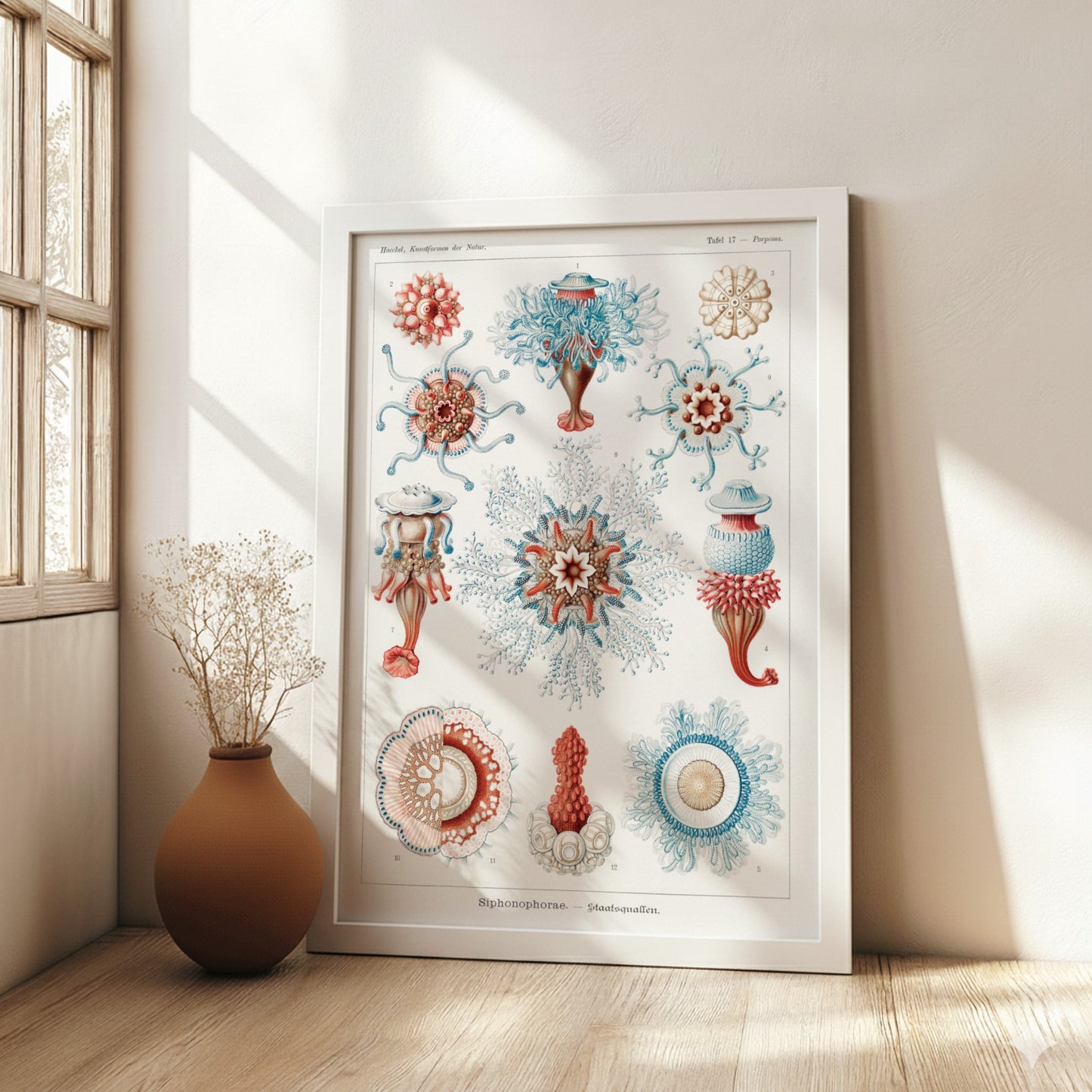 Vintage Siphonophorae scientific illustration poster by Ernst Haeckel, featuring detailed marine life in blue
