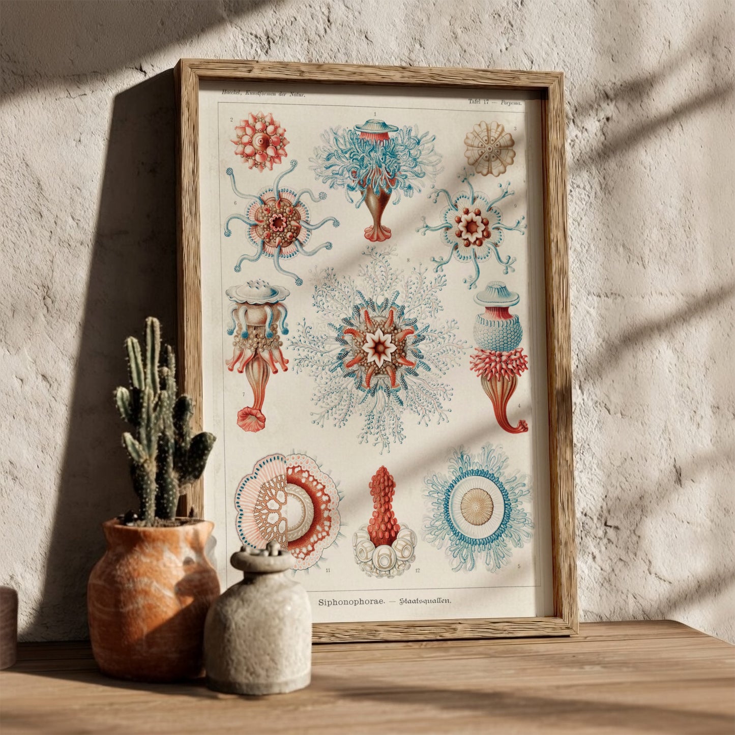 Vintage Siphonophorae scientific illustration poster by Ernst Haeckel, featuring detailed marine life in blue