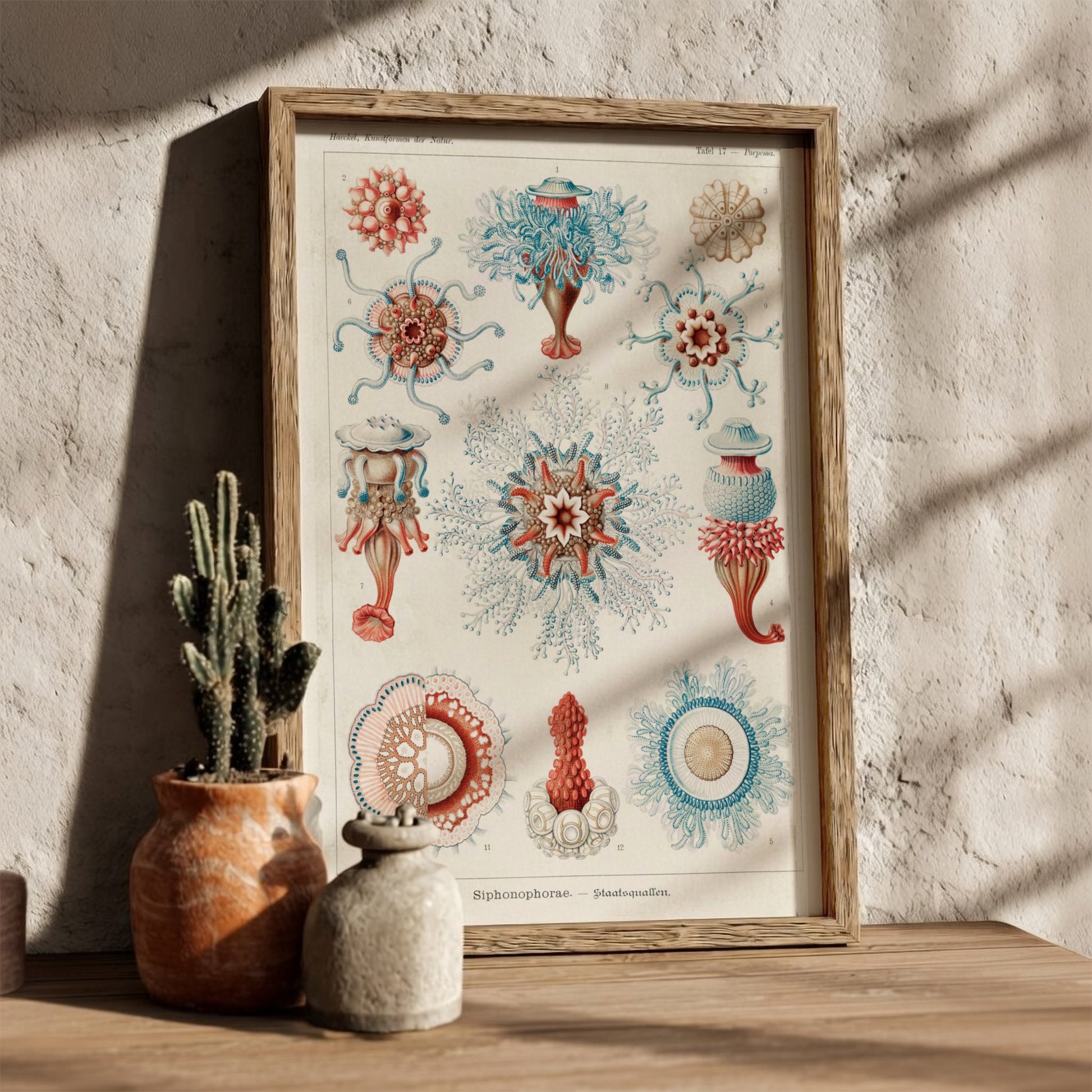 Vintage Siphonophorae scientific illustration poster by Ernst Haeckel, featuring detailed marine life in blue
