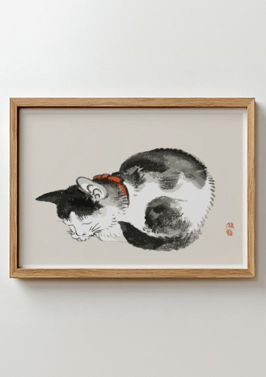Framed Japanese ink wash drawing of a sleeping black and white cat with a red collar, by Kono Bairei.