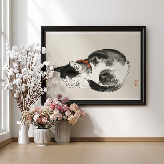 Framed Japanese ink wash drawing of a sleeping black and white cat with a red collar, by Kono Bairei.