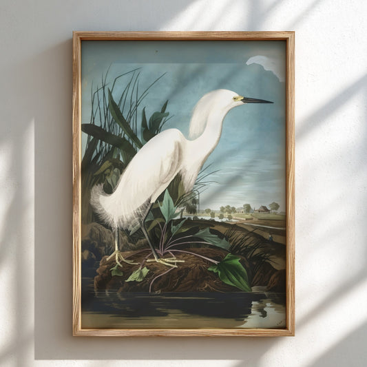 Snowy Heron poster featuring vintage bird art in soft colors, ideal for nature decor and wall print.