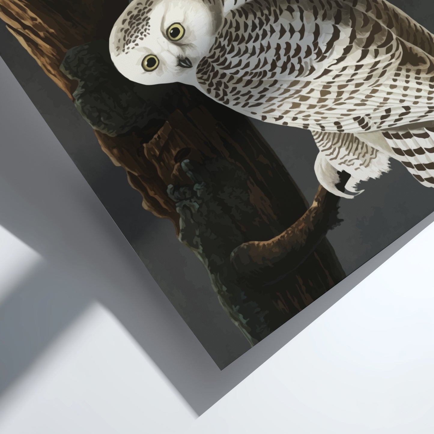Snowy Owl art poster featuring detailed illustration, white colors, nature theme, and wildlife decor