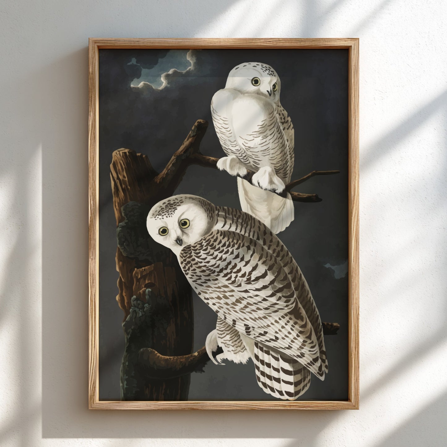 Snowy Owl art poster featuring detailed illustration, white colors, nature theme, and wildlife decor