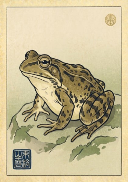 Spotted frog study poster in Japanese art style with earthy tones and detailed illustration