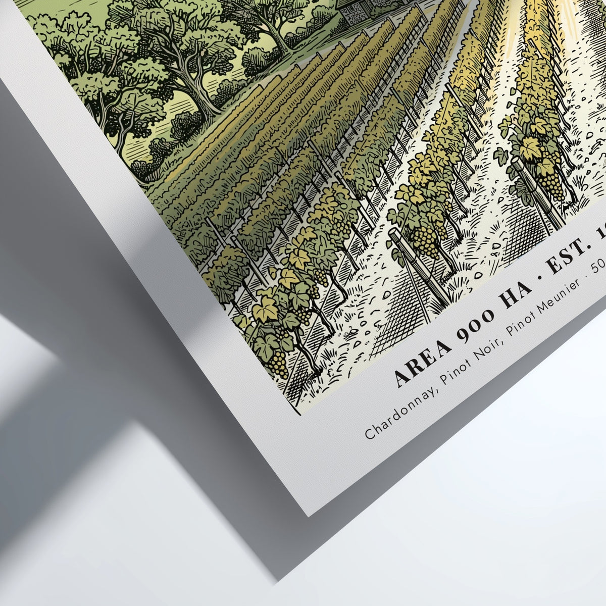 Poster featuring a detailed illustration of a Sussex vineyard with a stone farmhouse.