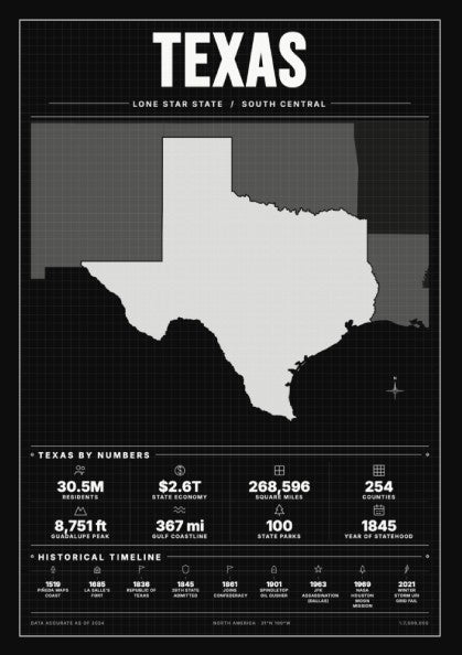 Texas poster featuring minimalist design in black and white, showcasing the Lone Star State for home decor.