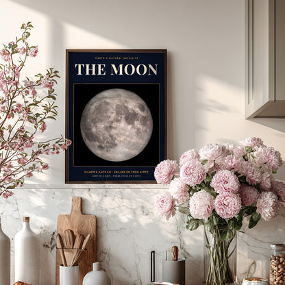 Poster of the Moon against a dark background with white scientific text and data.