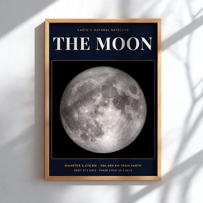 Poster of the Moon against a dark background with white scientific text and data.
