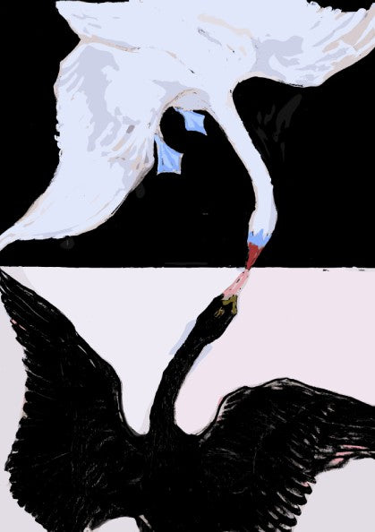 Poster of Hilma af Klint's 'The Swan' featuring a white and black swan in abstract style.