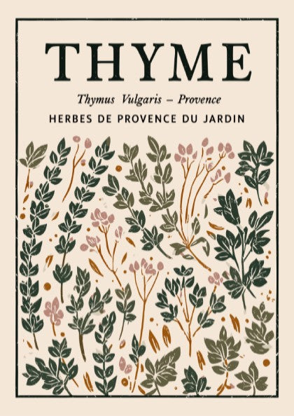 Thyme kitchen poster featuring botanical illustrations in green and earthy tones, perfect for kitchen decor.