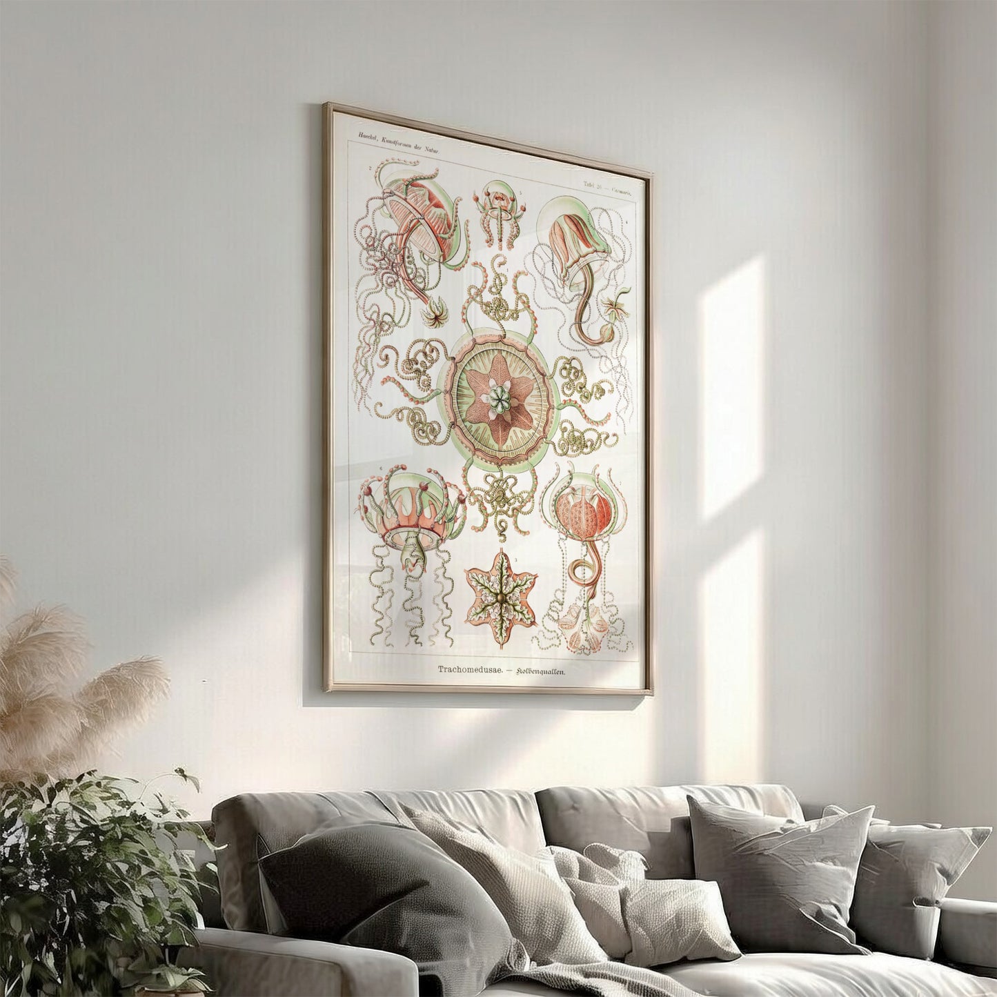 Vintage art poster of Ernst Haeckel's scientific illustration of Trachomedusae jellyfish in green and coral.