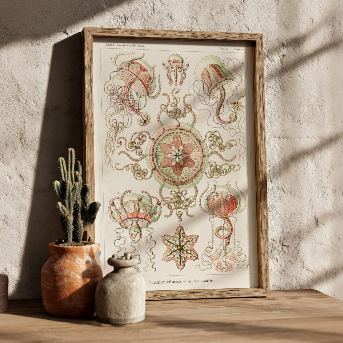 Vintage art poster of Ernst Haeckel's scientific illustration of Trachomedusae jellyfish in green and coral.