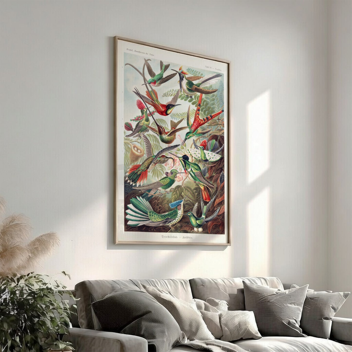 Vintage art poster of various hummingbirds by Ernst Haeckel, detailed scientific illustration.