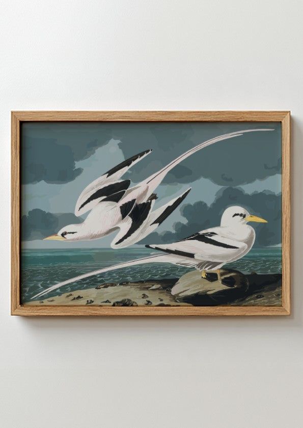 Tropic Bird poster featuring elegant birds in flight, vintage style, soft pastels and rich blues, perfect for