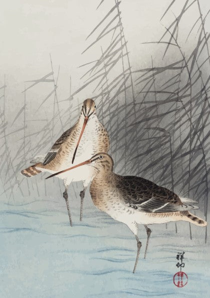 Poster of "Two Bar-Tailed Godwits" by Ohara Koson, featuring two birds in reeds, Japanese art style.