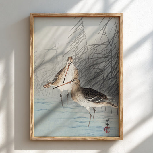Poster of "Two Bar-Tailed Godwits" by Ohara Koson, featuring two birds in reeds, Japanese art style.