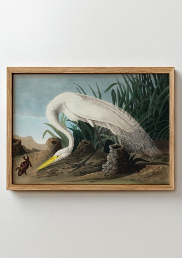 White heron art poster featuring soft colors and detailed nature elements, perfect for home decor and nature