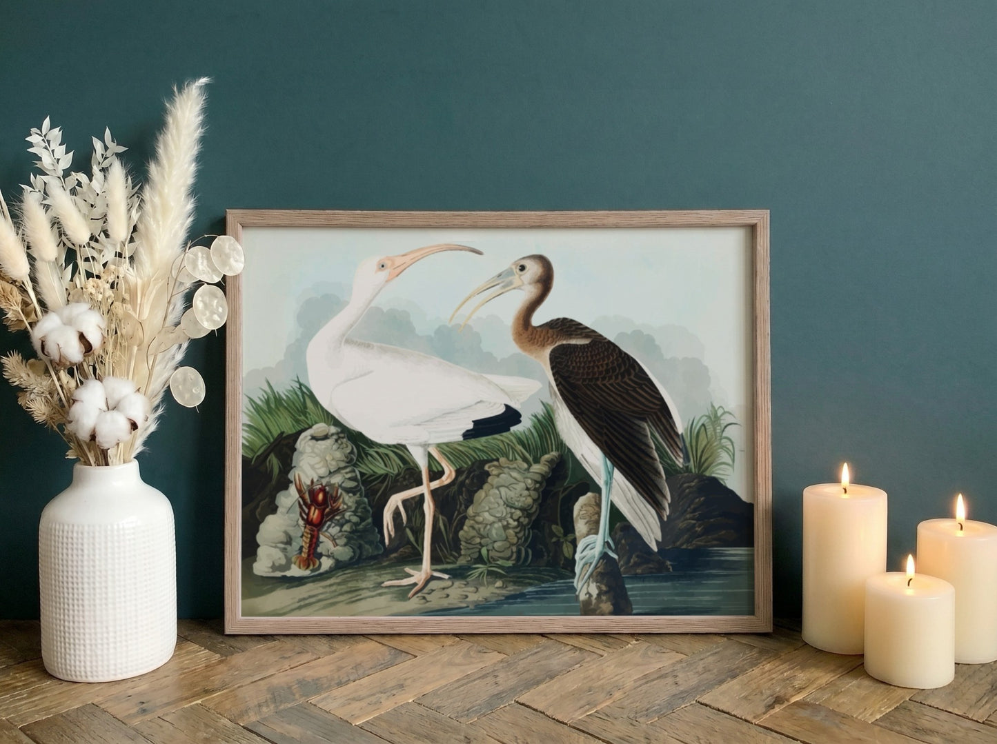 White Ibis poster featuring detailed bird art by Audubon in soft colors, ideal for nature-themed decor