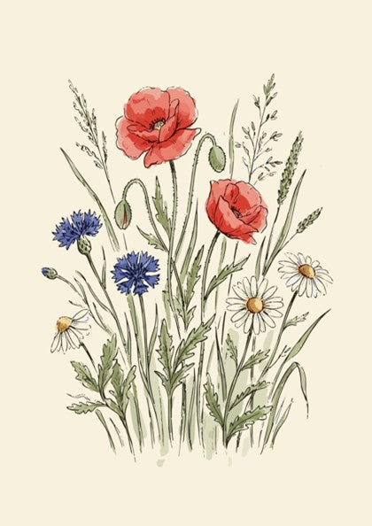 Poster featuring watercolour wildflowers including red poppies, blue cornflowers, and white daisies on cream.