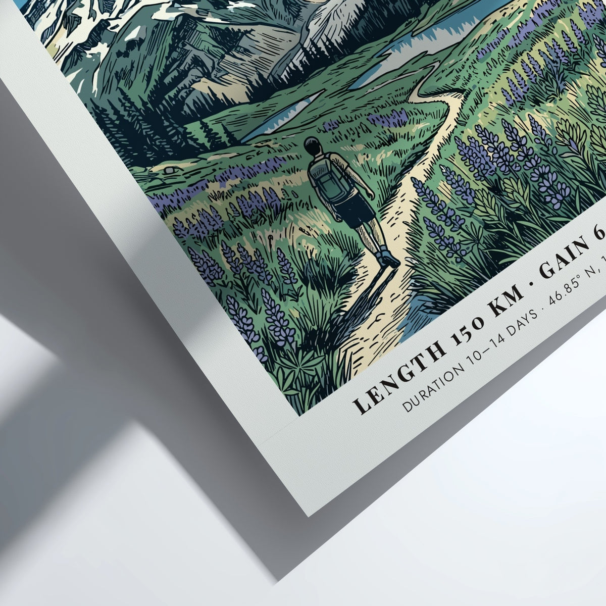 Hiking poster featuring the Wonderland Trail at Mount Rainier with purple flowers and glacier.