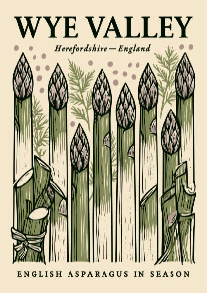 Kitchen poster featuring asparagus in green tones, hand-drawn style, perfect for culinary decor.