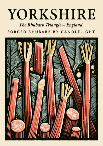 Kitchen poster featuring vibrant Yorkshire rhubarb with red stalks and textured background for warm decor