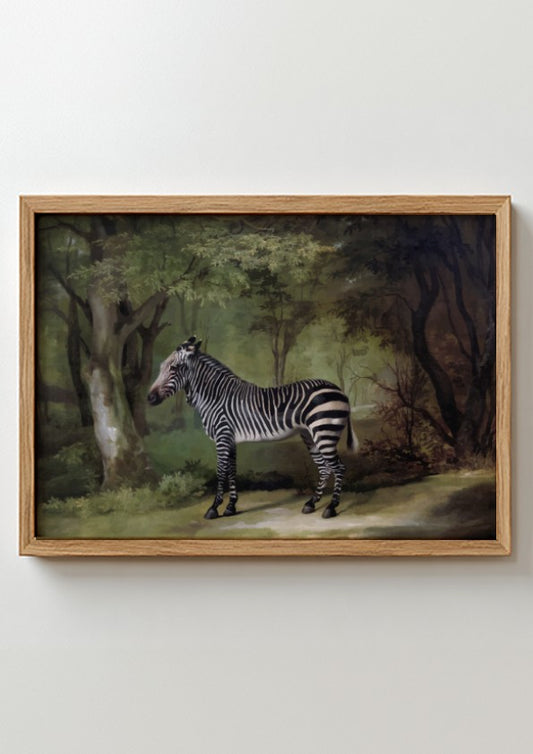 Vintage "Zebra" drawing by George Stubbs, a realistic animal art print in a woodland setting.