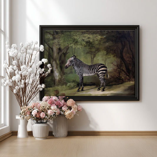 Vintage "Zebra" drawing by George Stubbs, a realistic animal art print in a woodland setting.