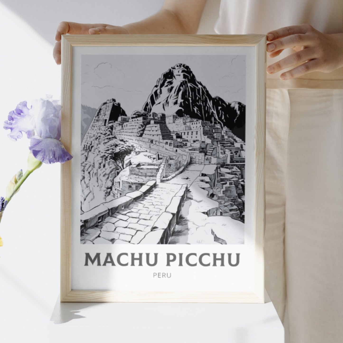 Machu Picchu Poster