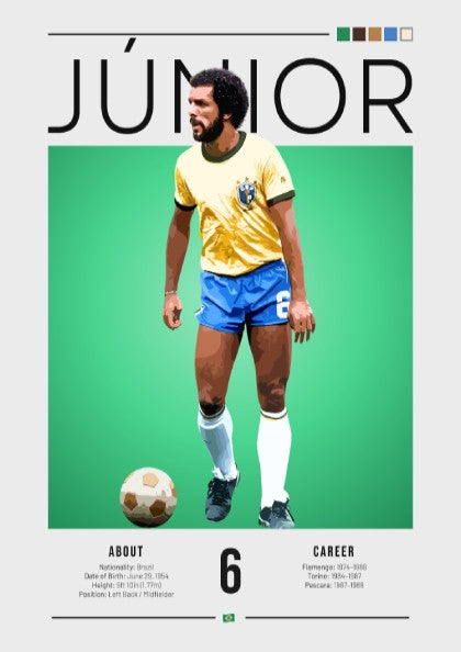 Júnior football player art featuring vibrant colors and vintage style, perfect for sports decor