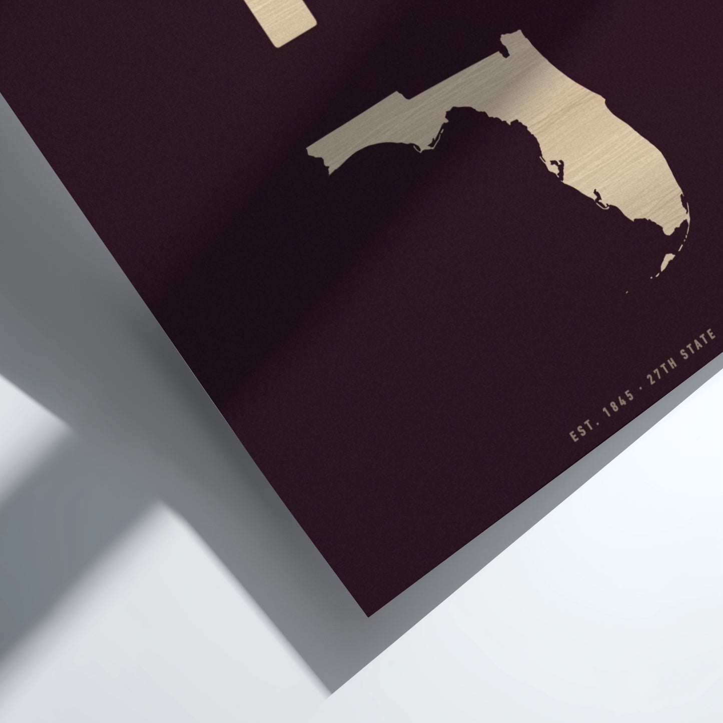 Map of Florida on a dark surface with a light wood finish
