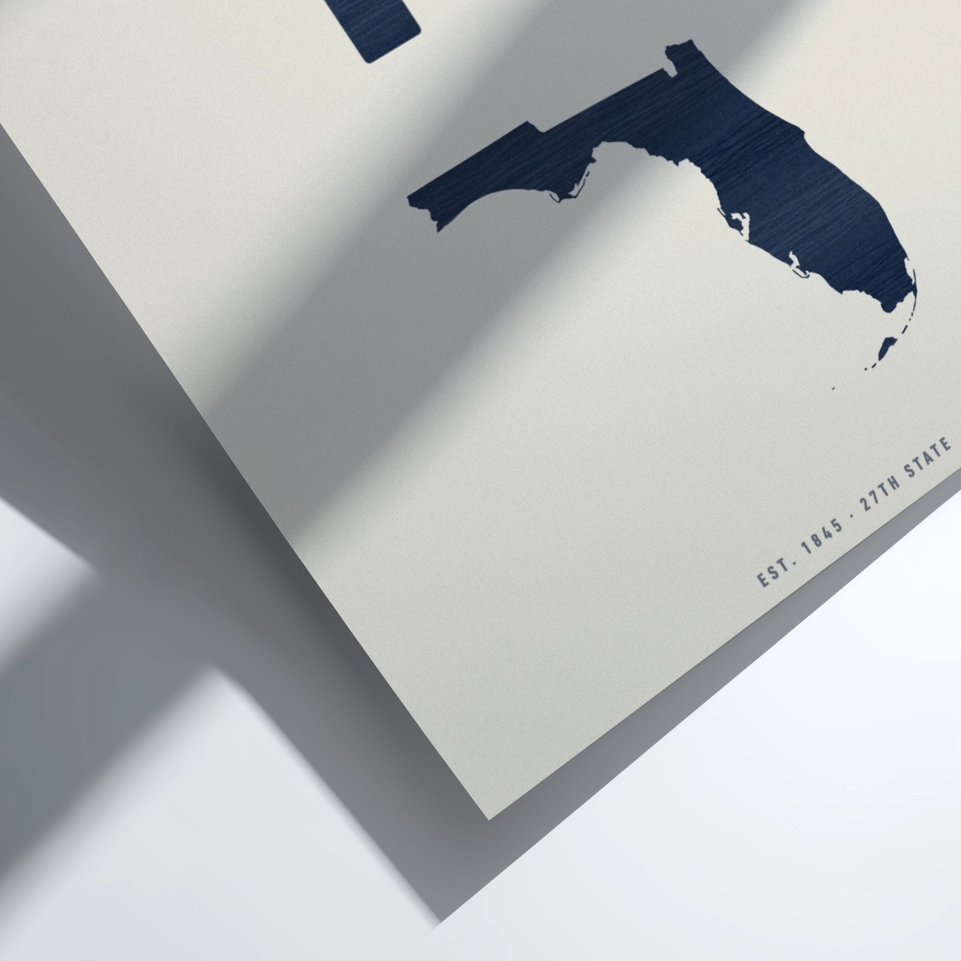 Map of Florida in navy on a light gray background
