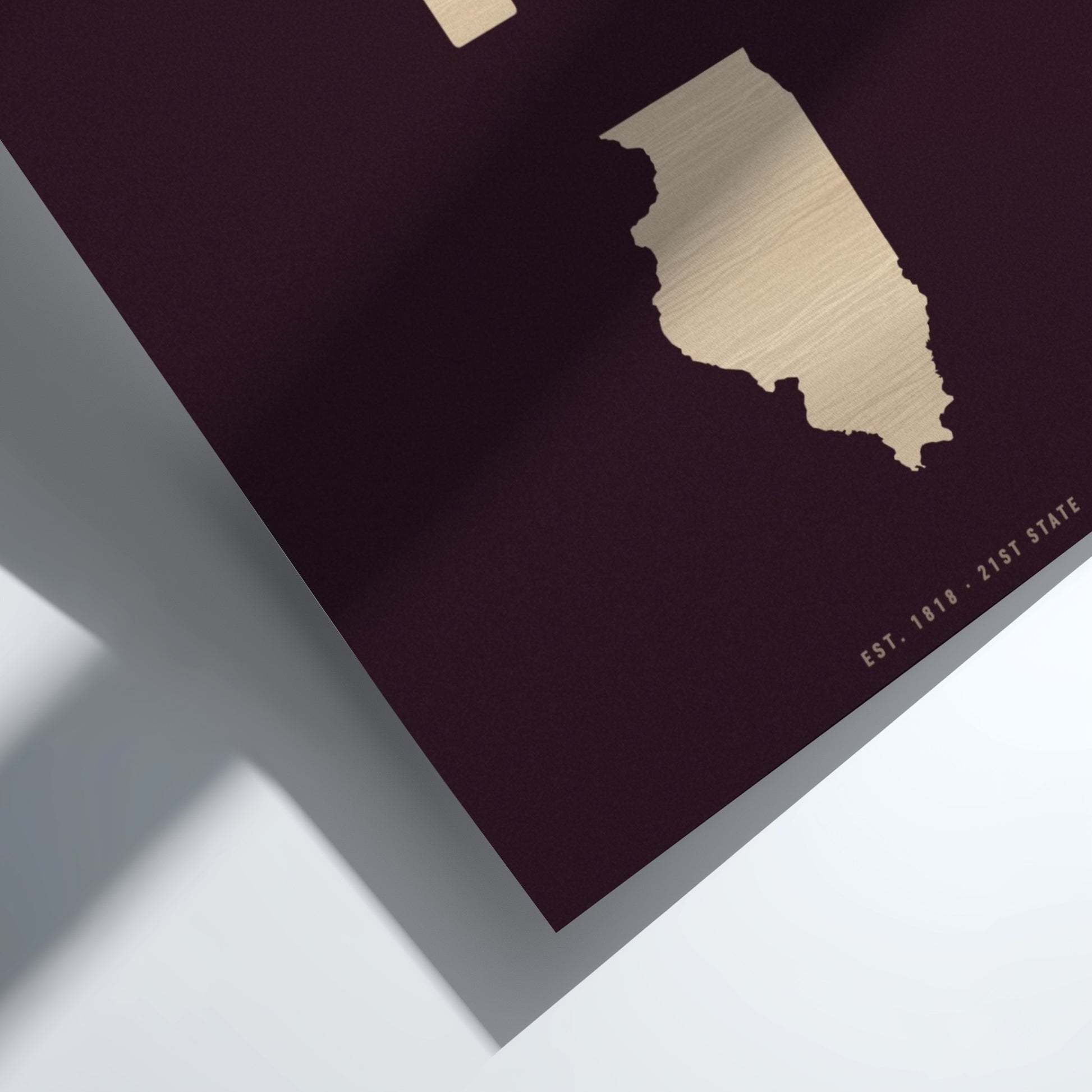USA states poster featuring Illinois in a minimalist design