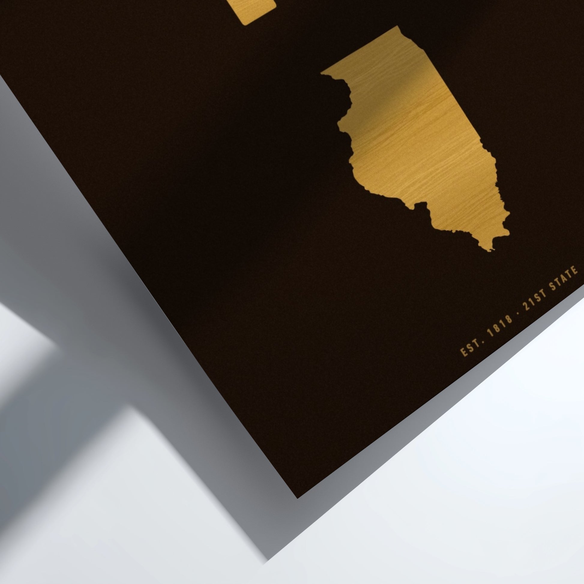 USA states poster featuring Illinois in a minimalist design