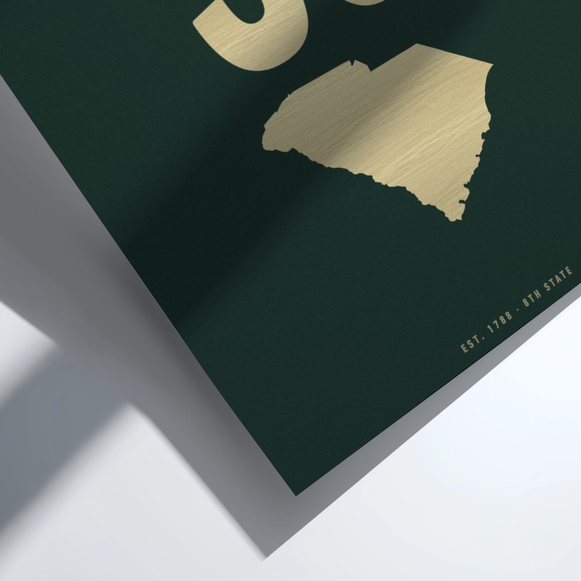 Gold state of South Carolina outline on a green background